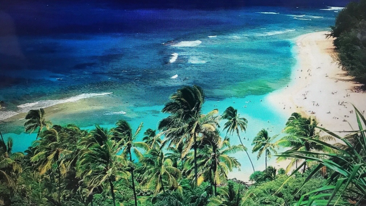 Photo of Others in Lihue