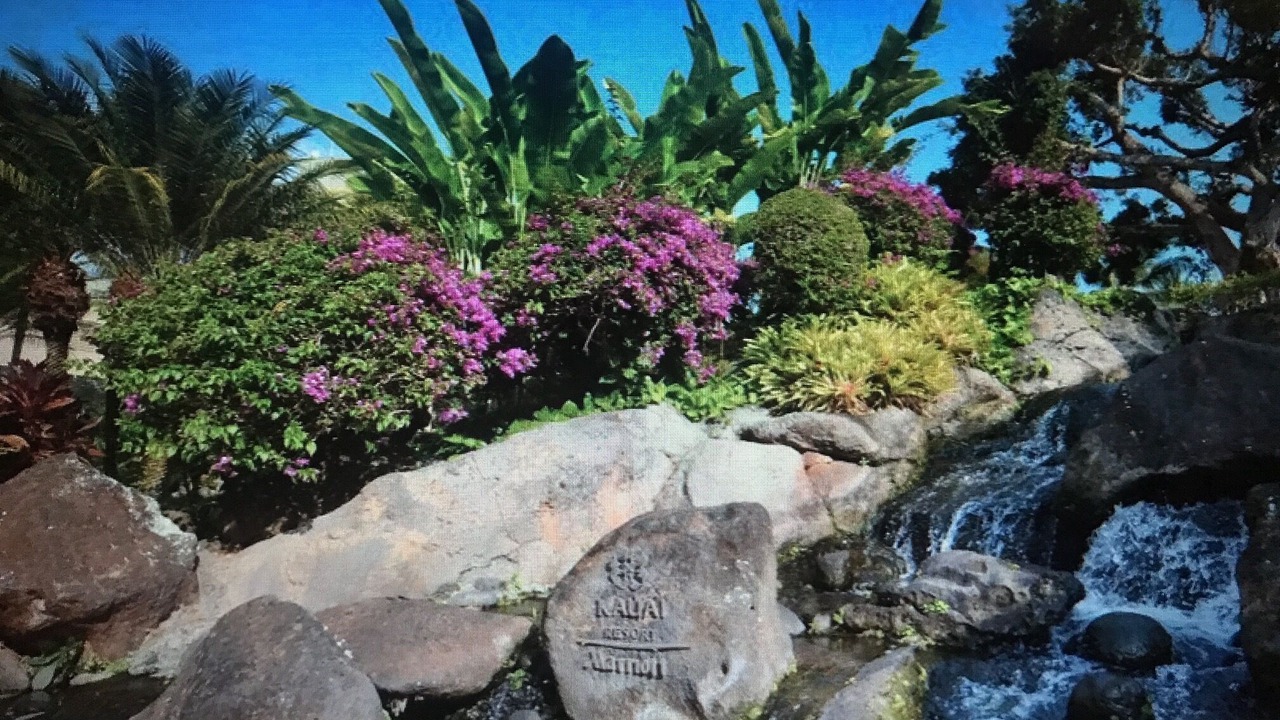 Photo of Outdoor in Lihue