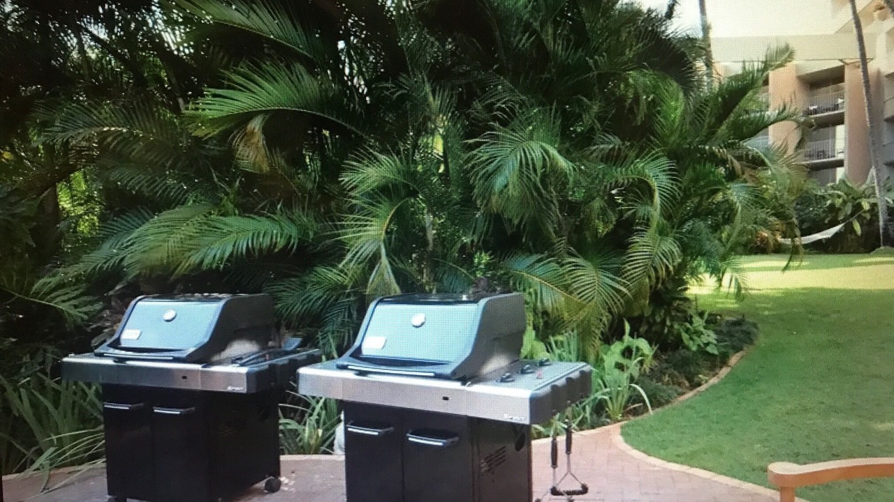 Photo of Patio Balcony in Lihue