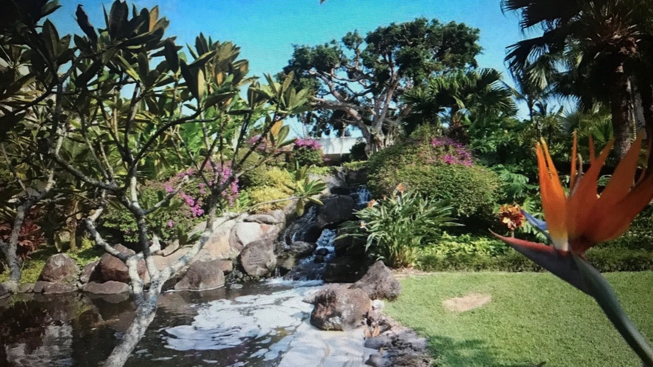 Photo of Outdoor in Lihue