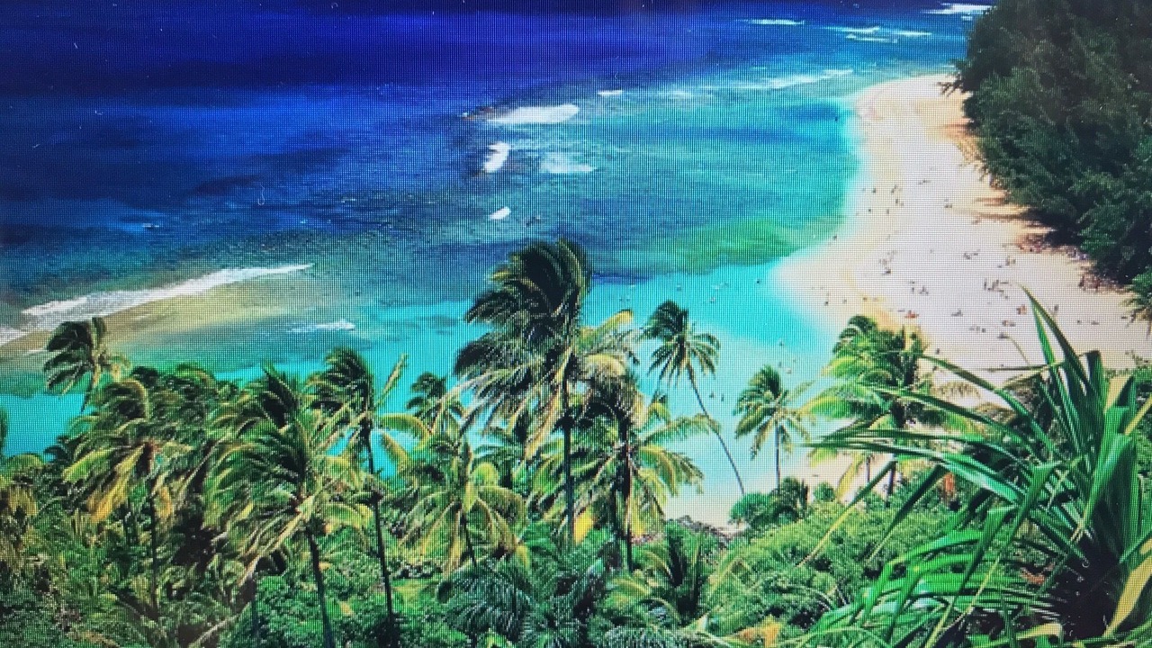 Photo of Others in Lihue