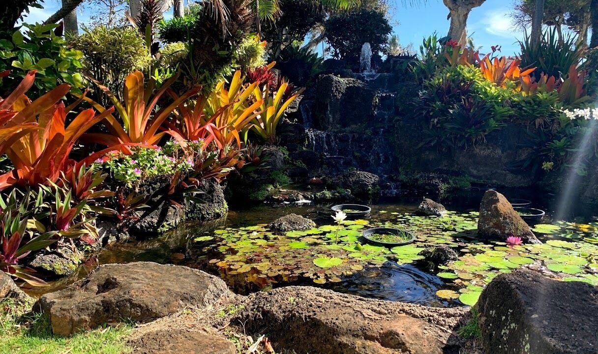 Photo of Outdoor in Kapaa