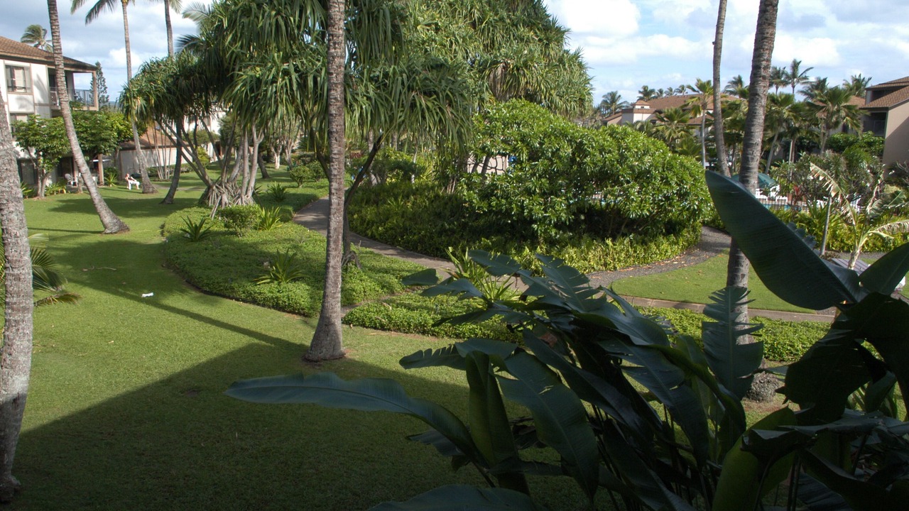 Photo of Outdoor in Kapaa