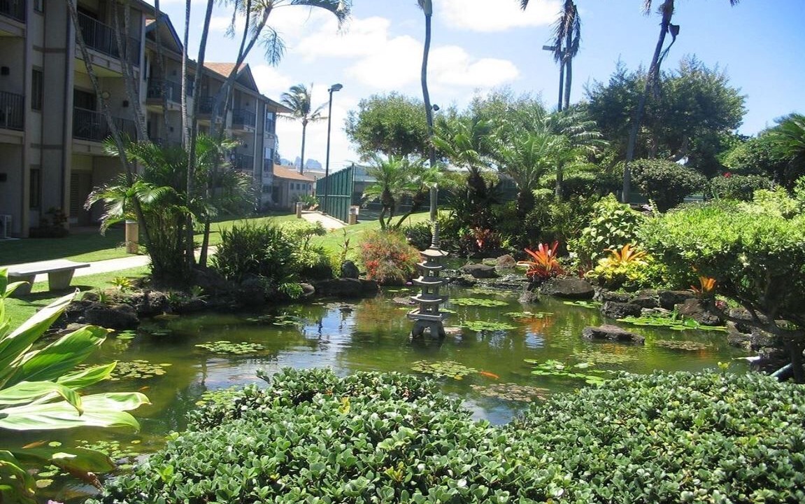 Photo of Others in Kapaa