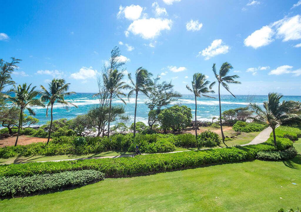 Photo of Outdoor in Lihue
