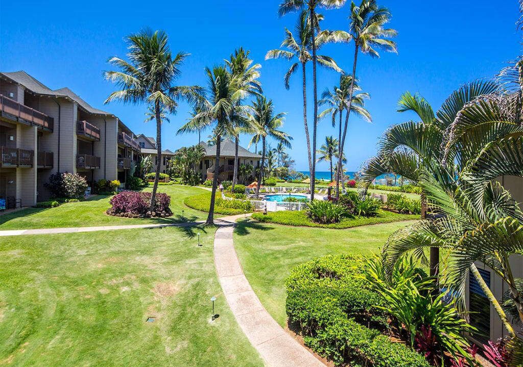 Photo of Outdoor in Lihue