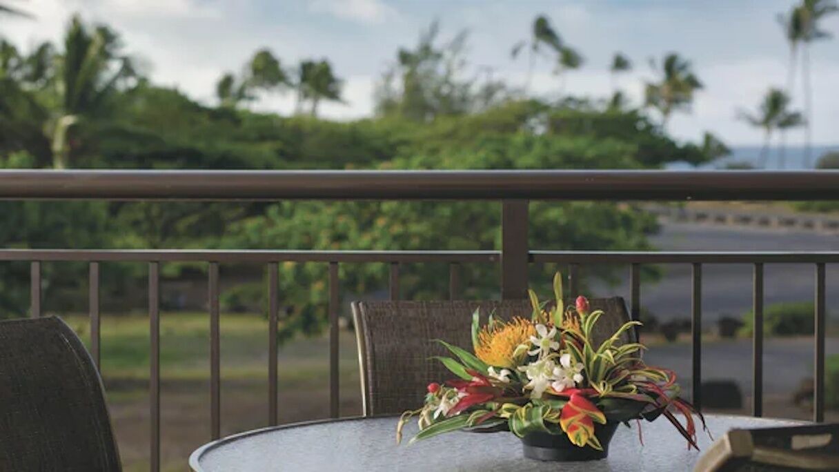 Photo of Outdoor in Poipu
