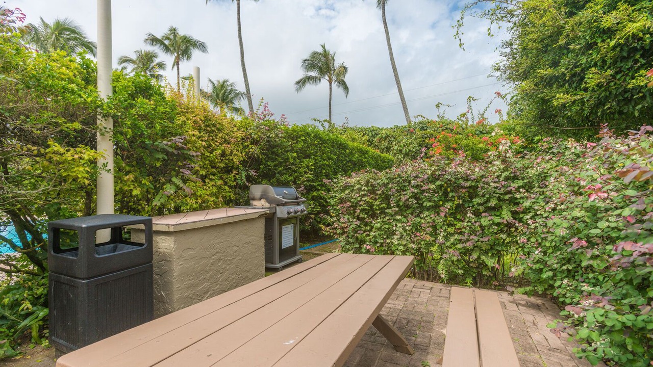 Photo of Outdoor in Kapaa