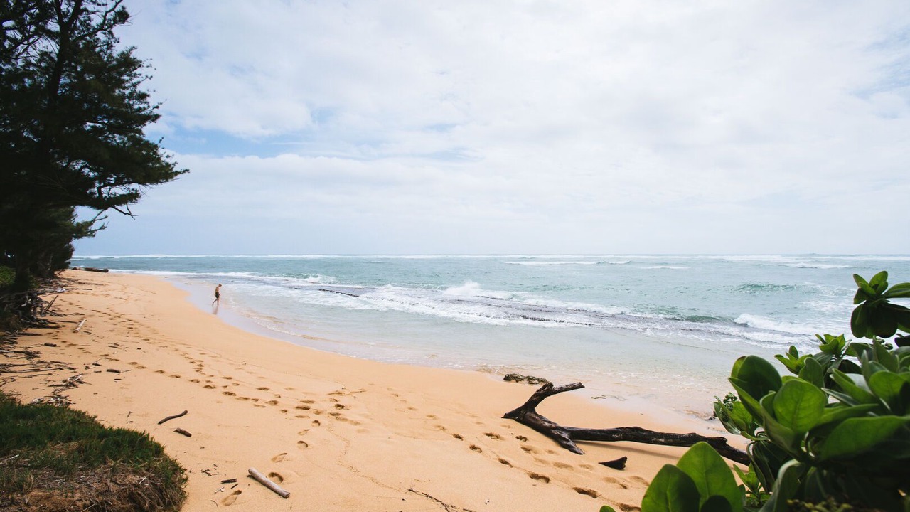 Photo of Others in Kapaa