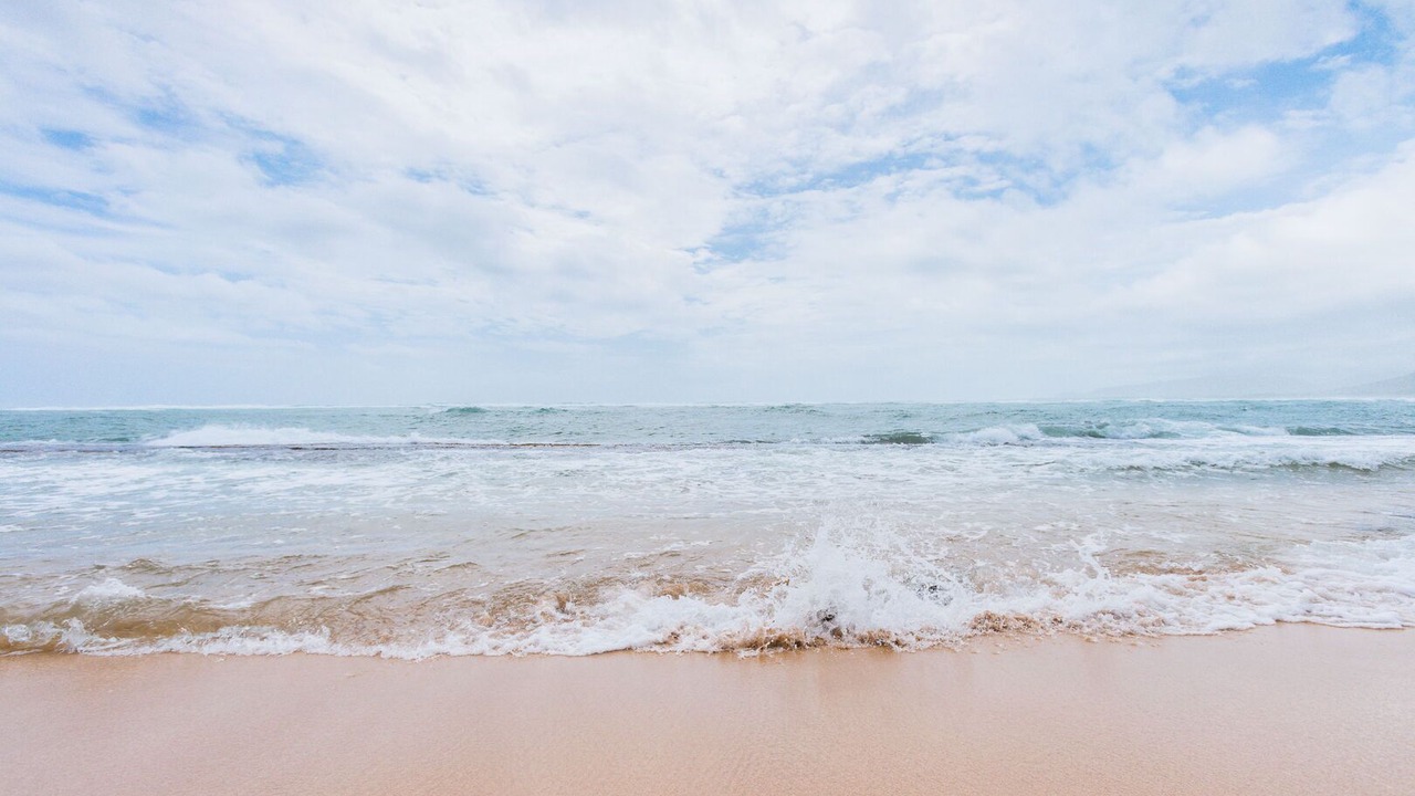 Photo of Others in Kapaa