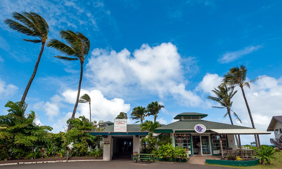 Photo of Others in Wainiha