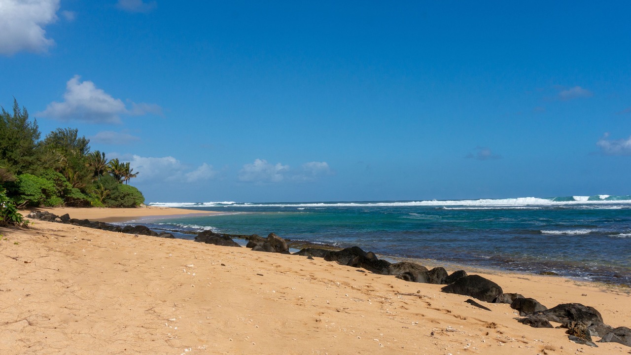 Photo of Outdoor in Wainiha