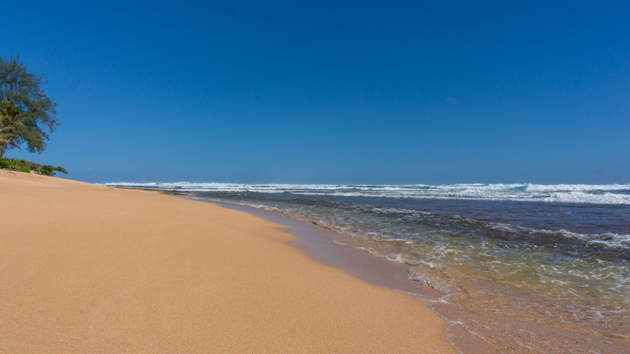 Photo of Others in Wainiha