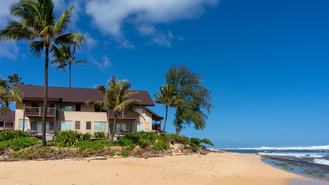 Photo of Outdoor in Wainiha