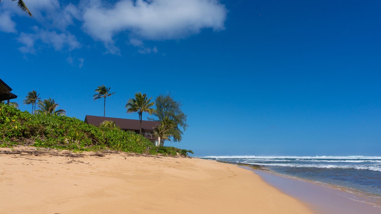 Photo of Outdoor in Wainiha