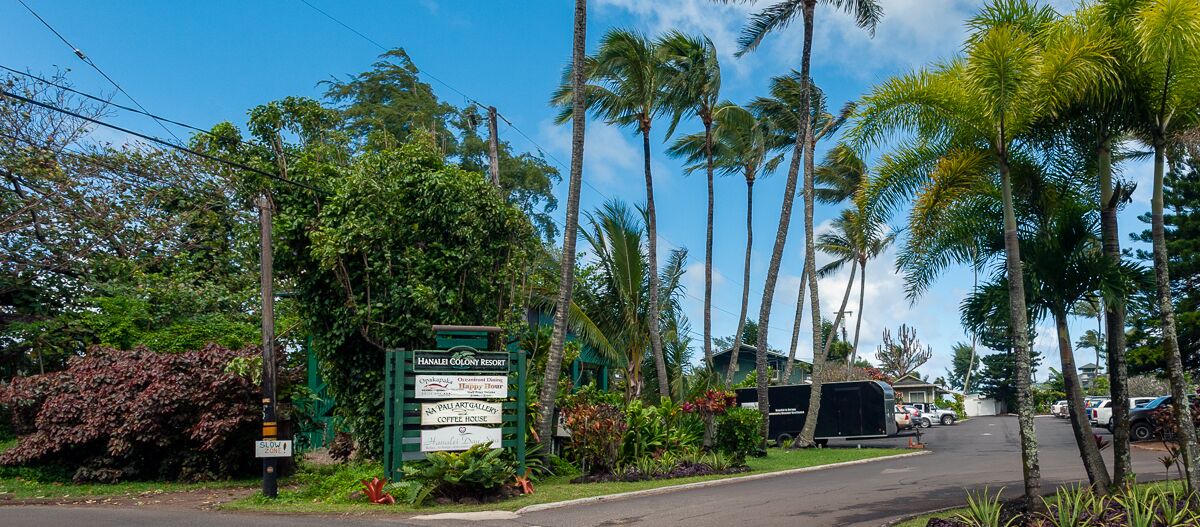 Photo of Others in Wainiha