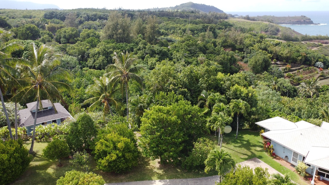 Photo of Outdoor in Kilauea