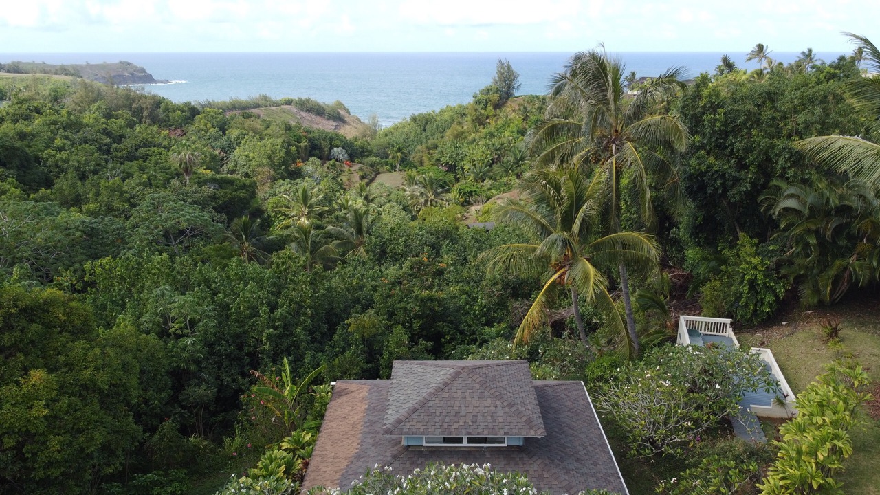 Photo of Outdoor in Kilauea