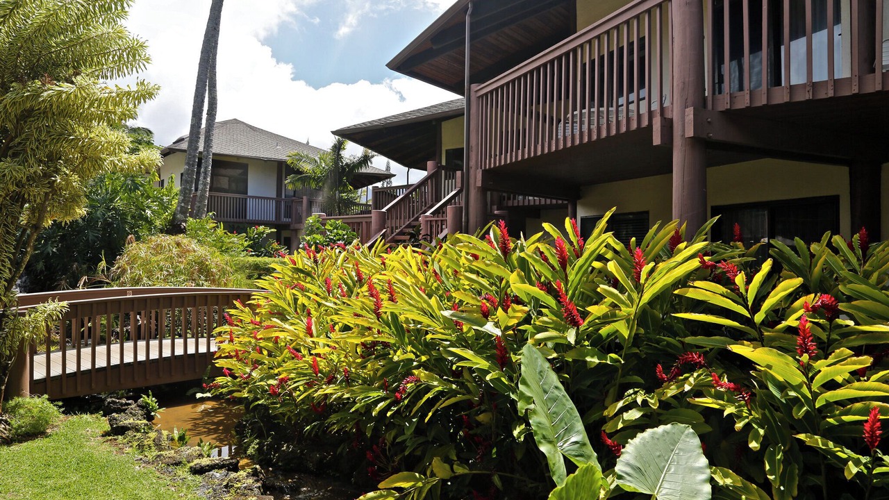 Photo of Outdoor in Princeville