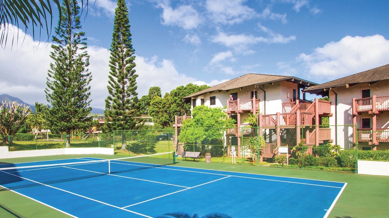 Photo of Others in Princeville