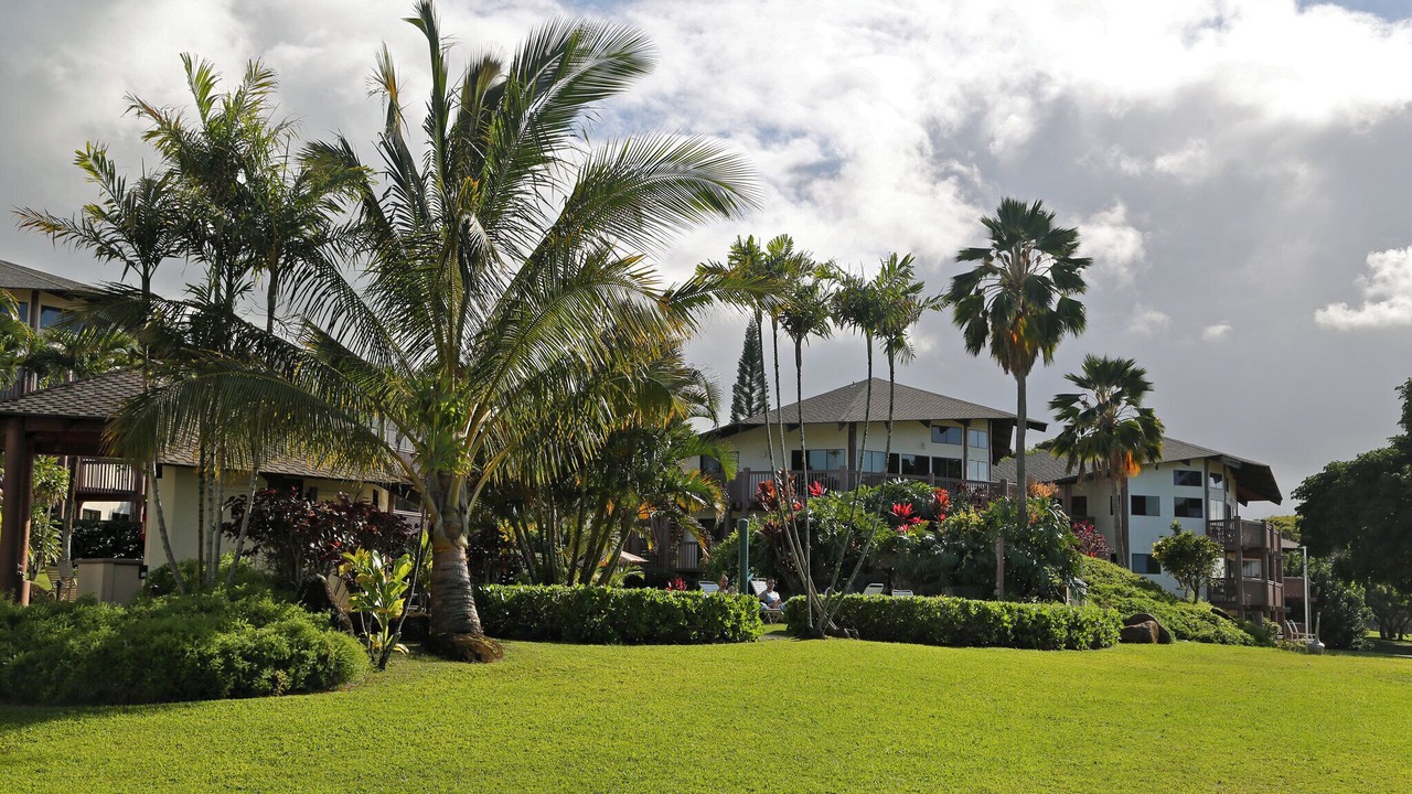 Photo of Outdoor in Princeville
