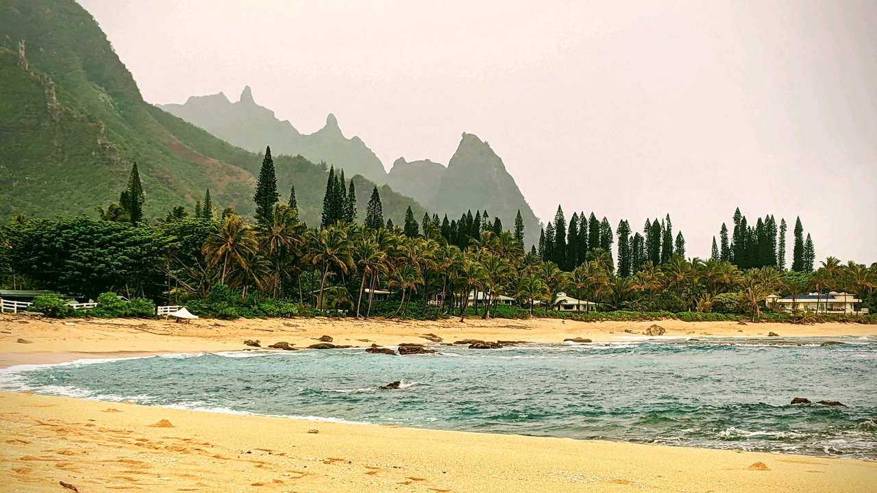 Photo of Others in Wainiha