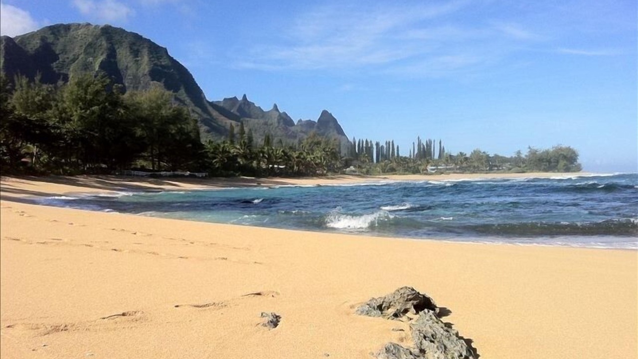 Photo of Others in Wainiha