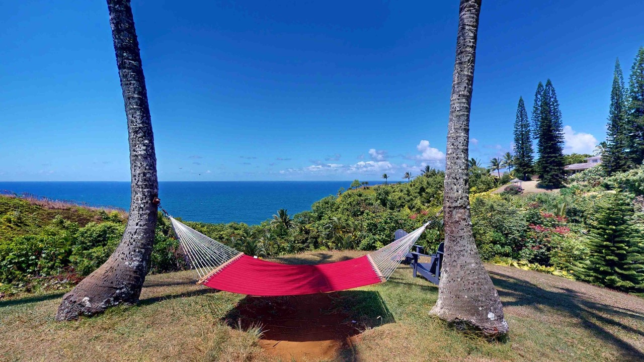Photo of Outdoor in Princeville
