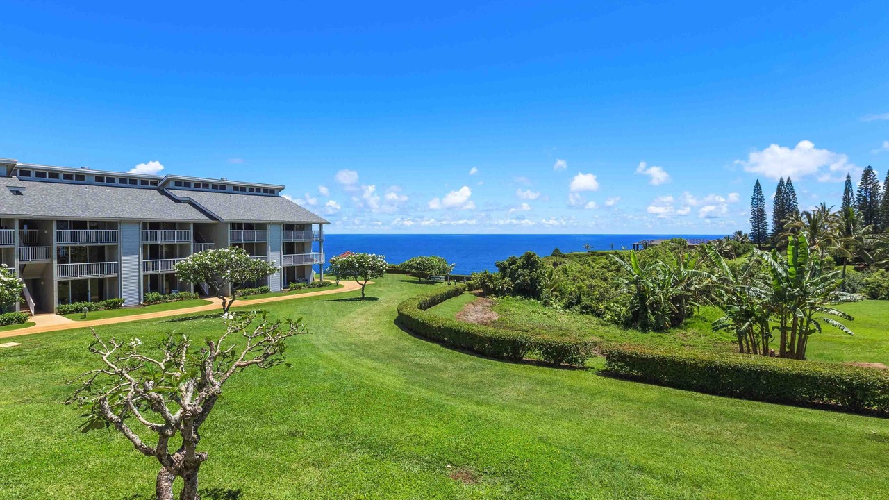 Photo of Outdoor in Princeville