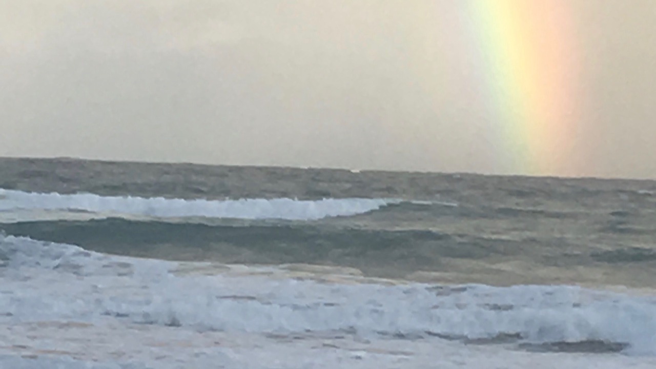 Photo of Others in Princeville