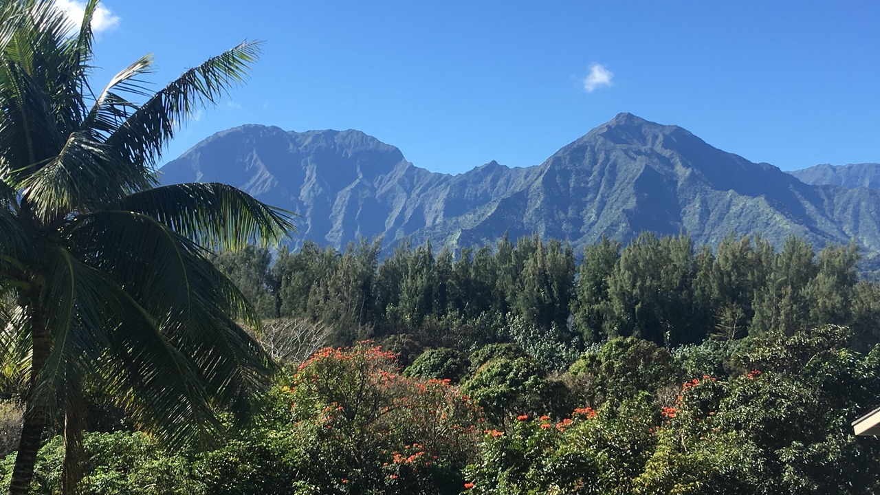 Photo of Others in Princeville