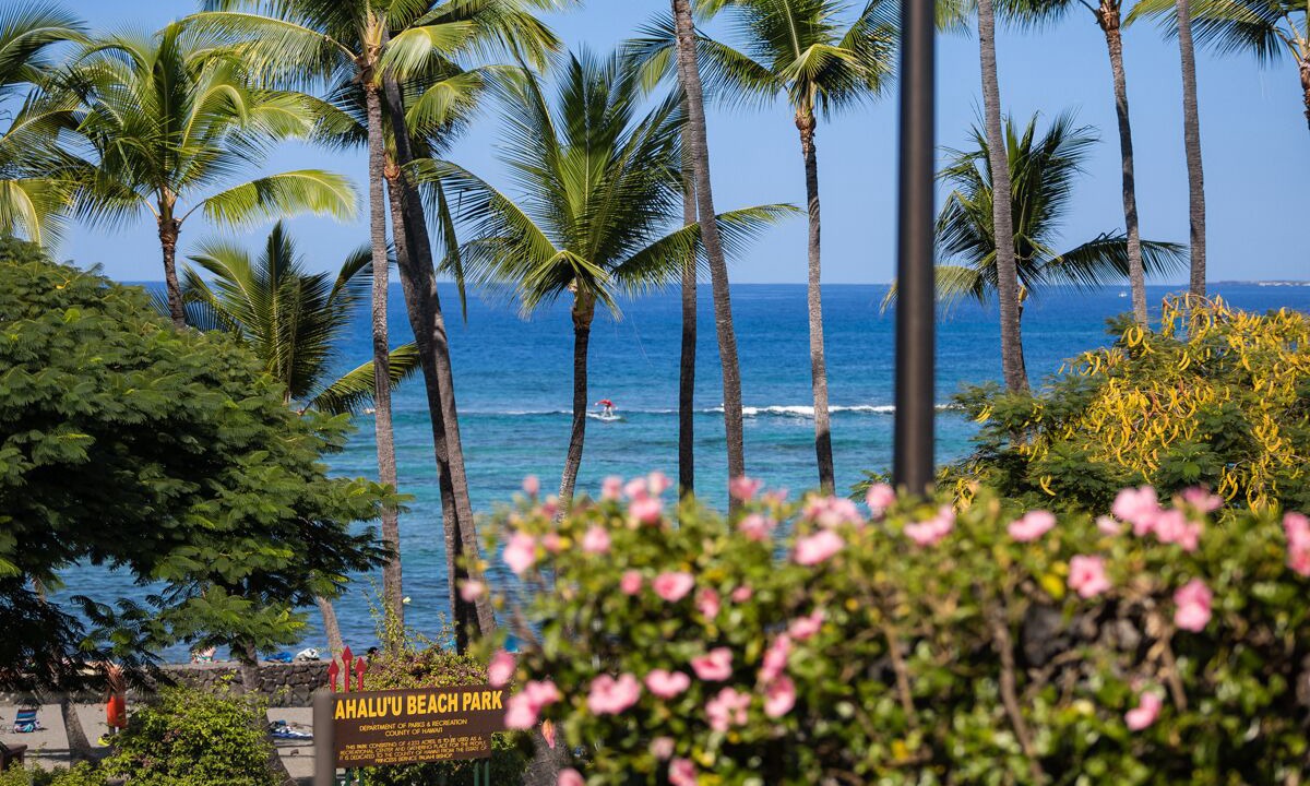 Photo of Others in Kahaluu Bay