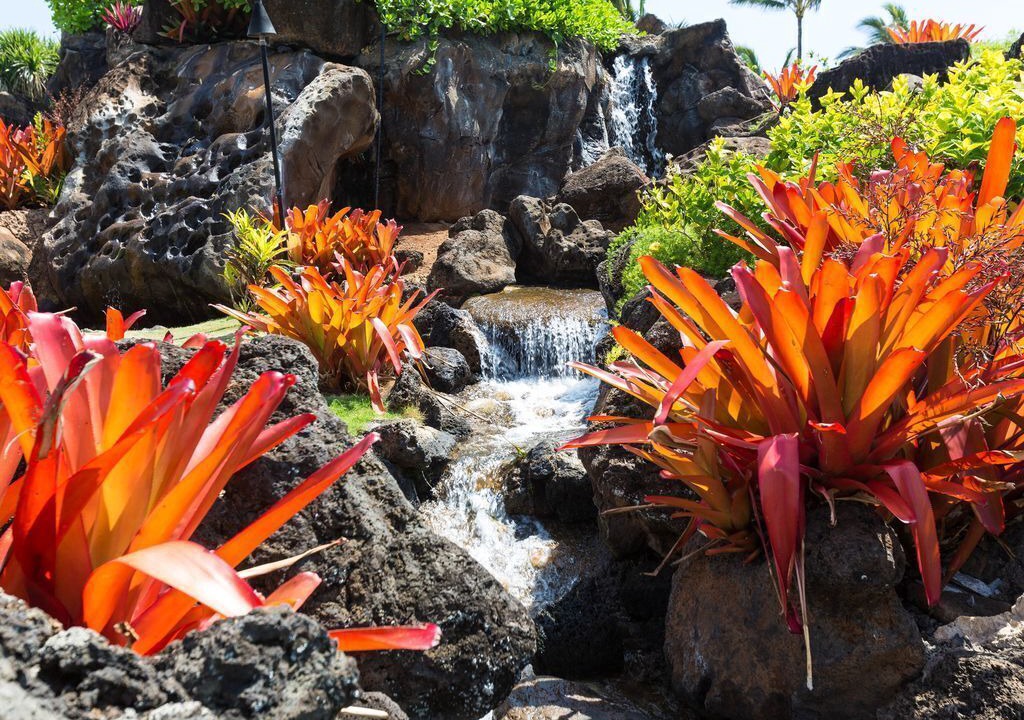 Photo of Outdoor in Hanamaulu