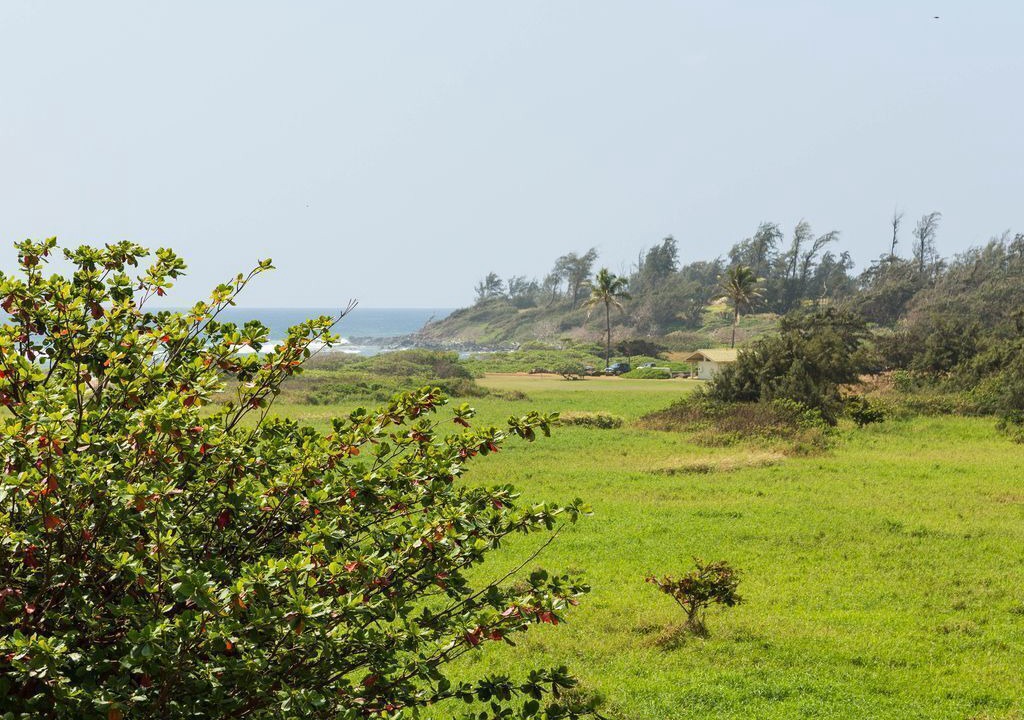Photo of Outdoor in Hanamaulu