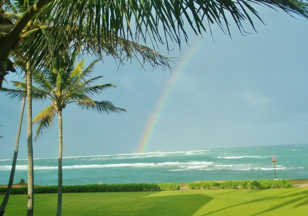 Photo of Others in Kapaa