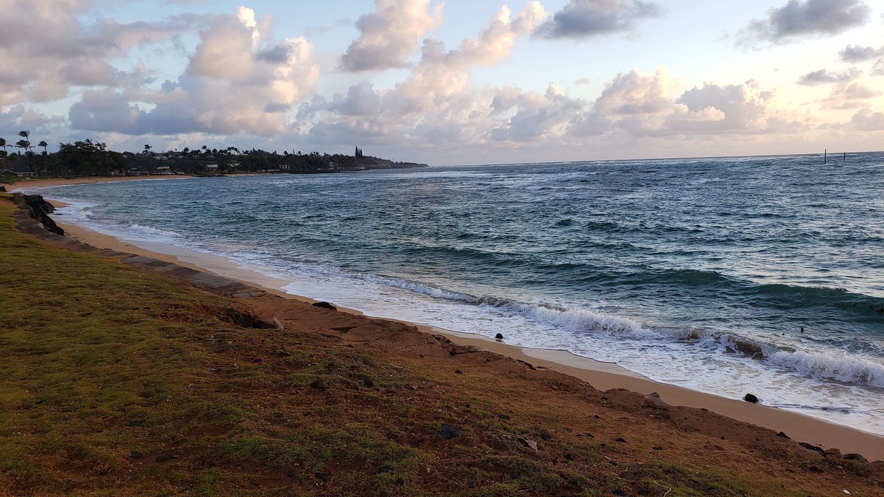 Photo of Others in Kapaa