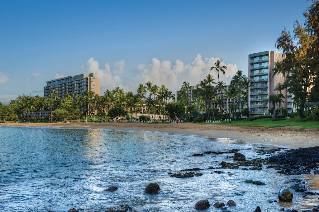 Photo of Others in Lihue