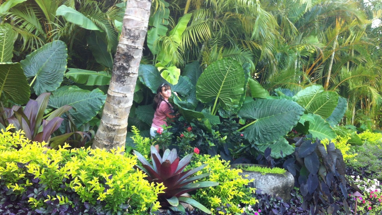 Photo of Outdoor in Hanalei