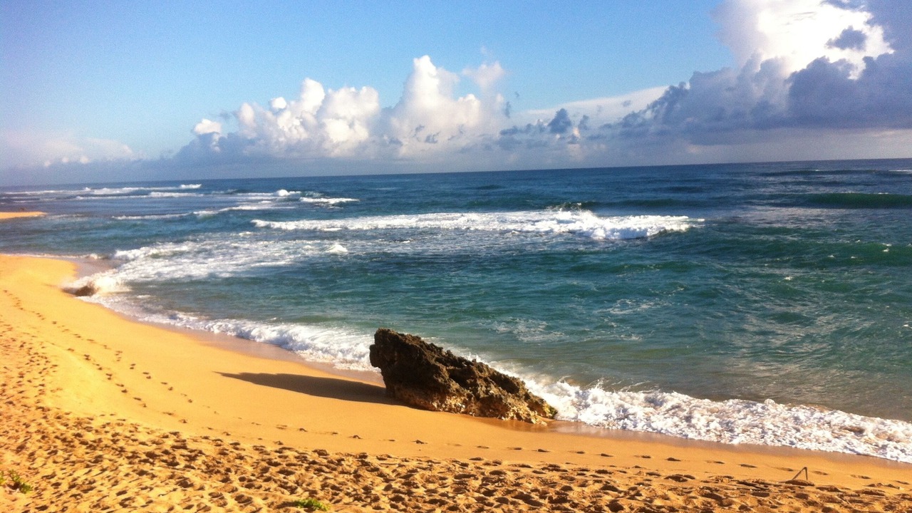 Photo of Others in Hanalei