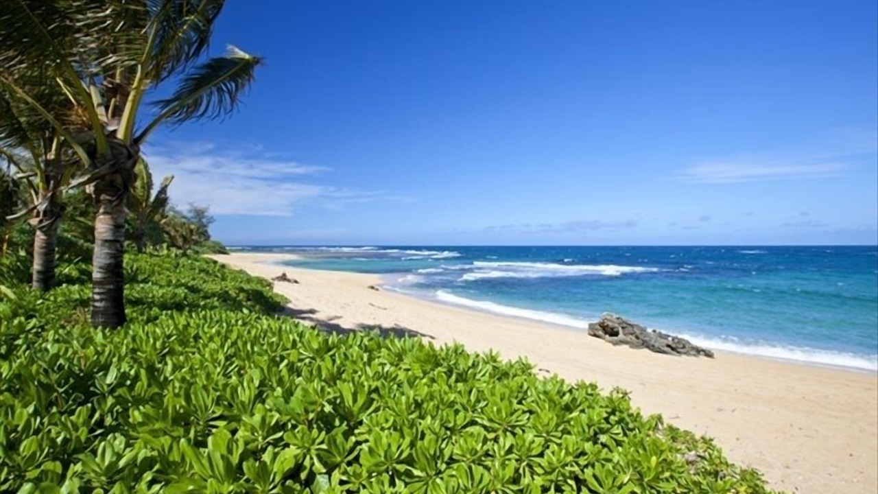Photo of Others in Hanalei