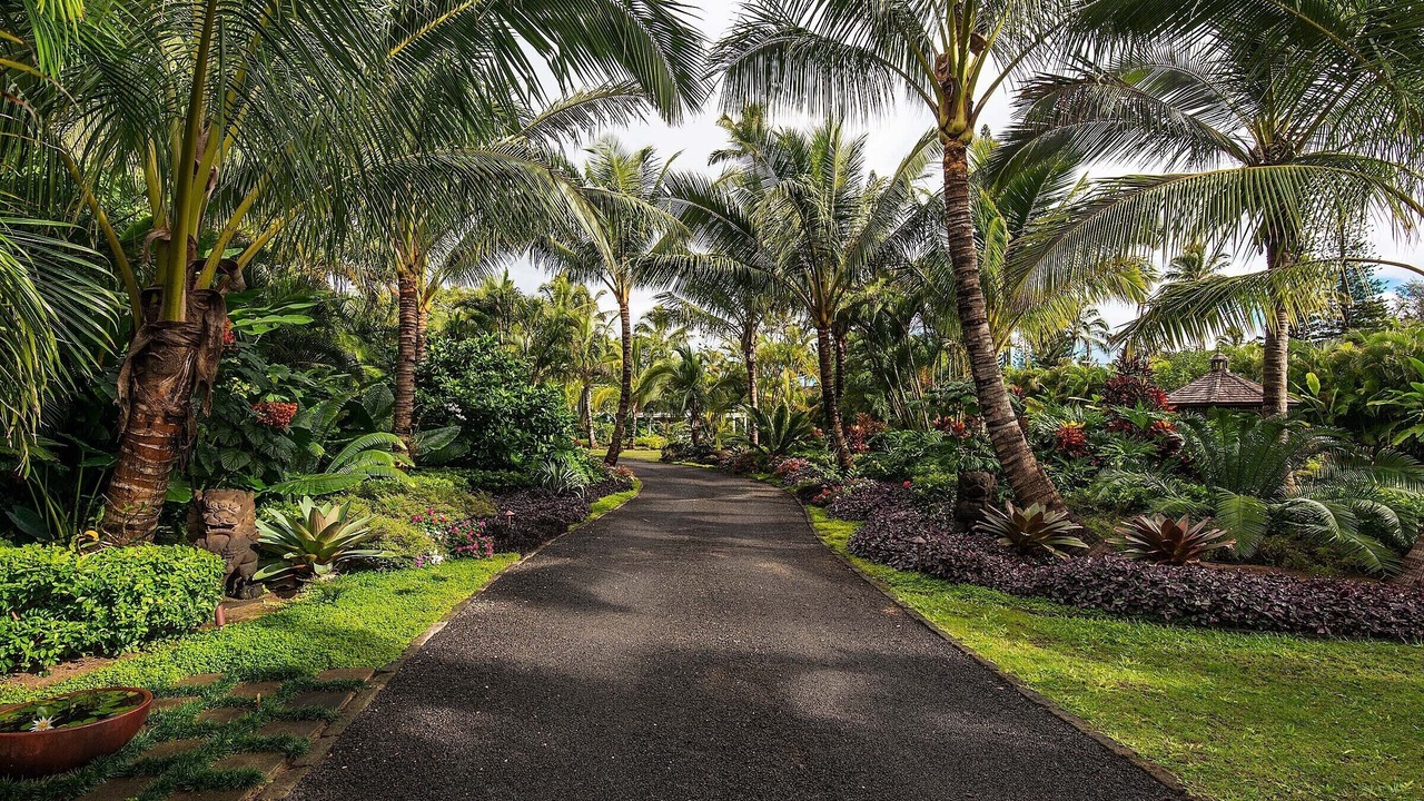 Photo of Outdoor in Hanalei