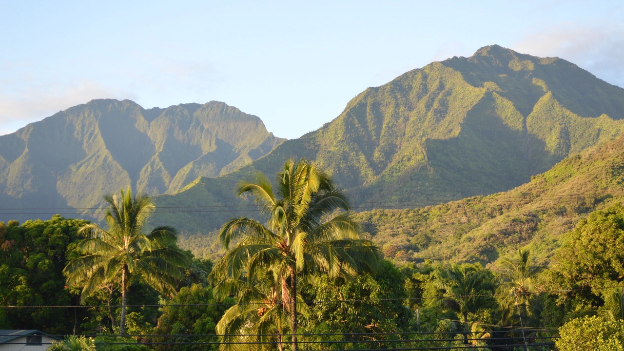 Photo of Others in Hanalei