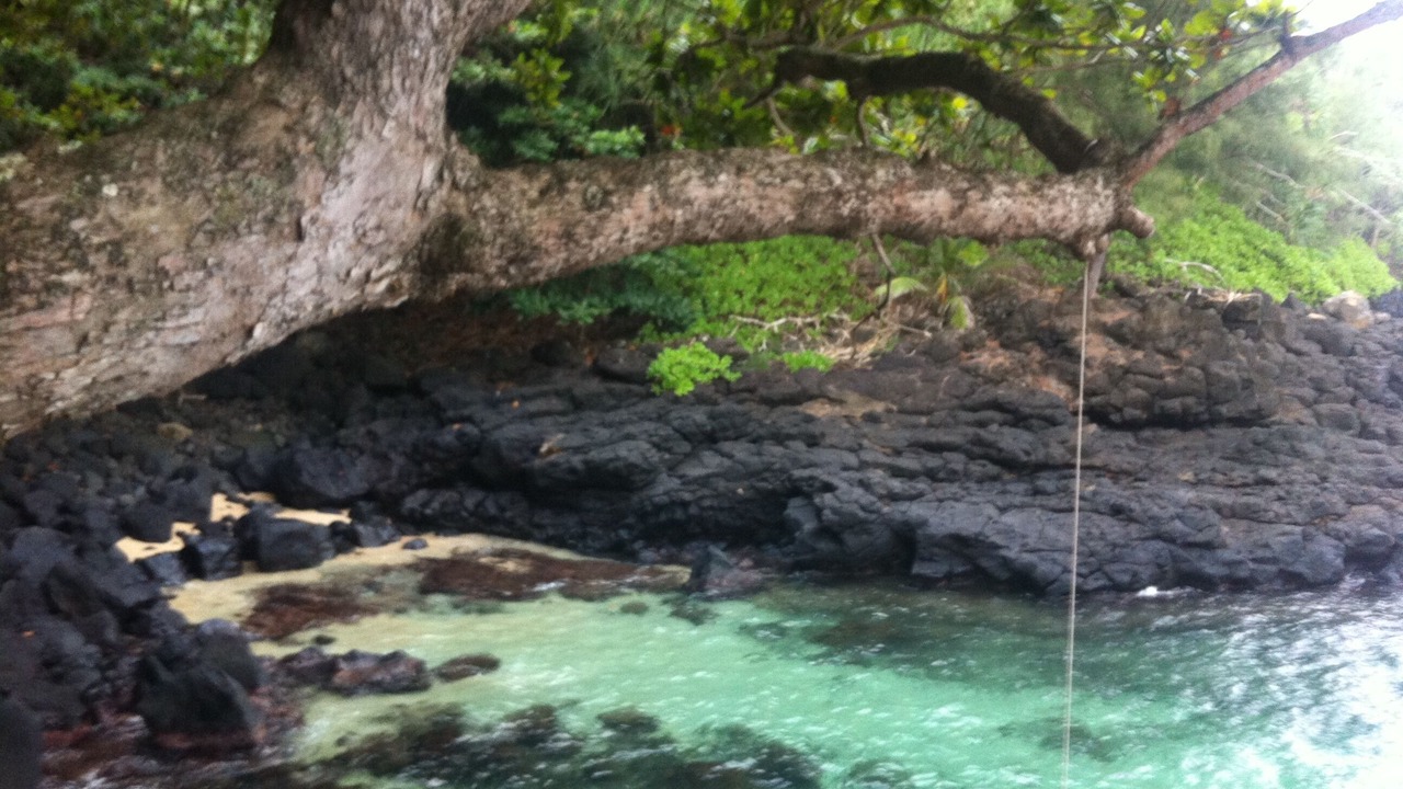 Photo of Others in Princeville