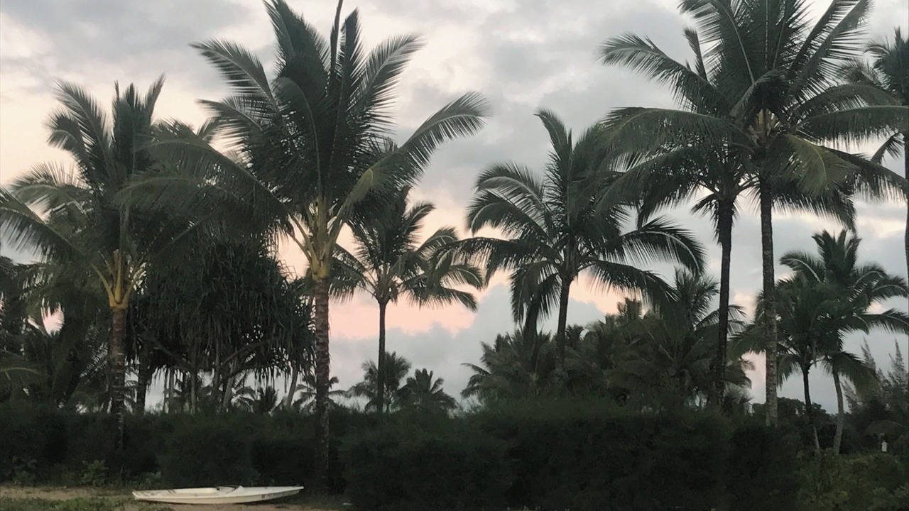 Photo of Others in Princeville