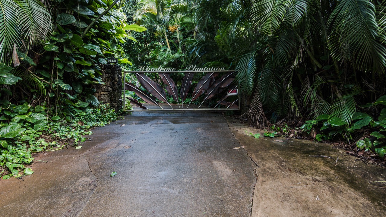 Photo of Others in Kilauea