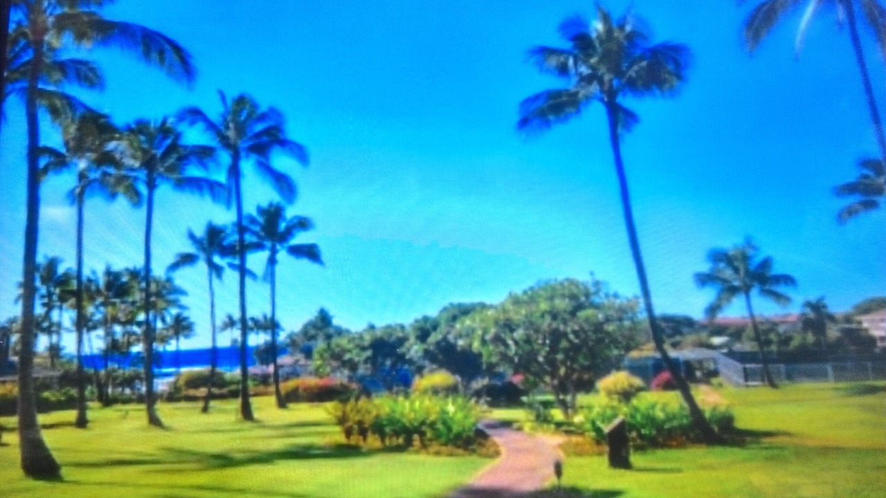 Photo of Outdoor in Poipu