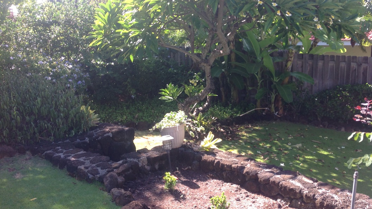Photo of Others in Poipu