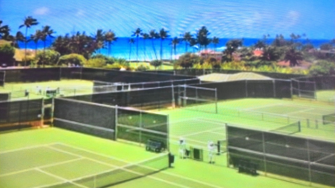 Photo of Others in Poipu