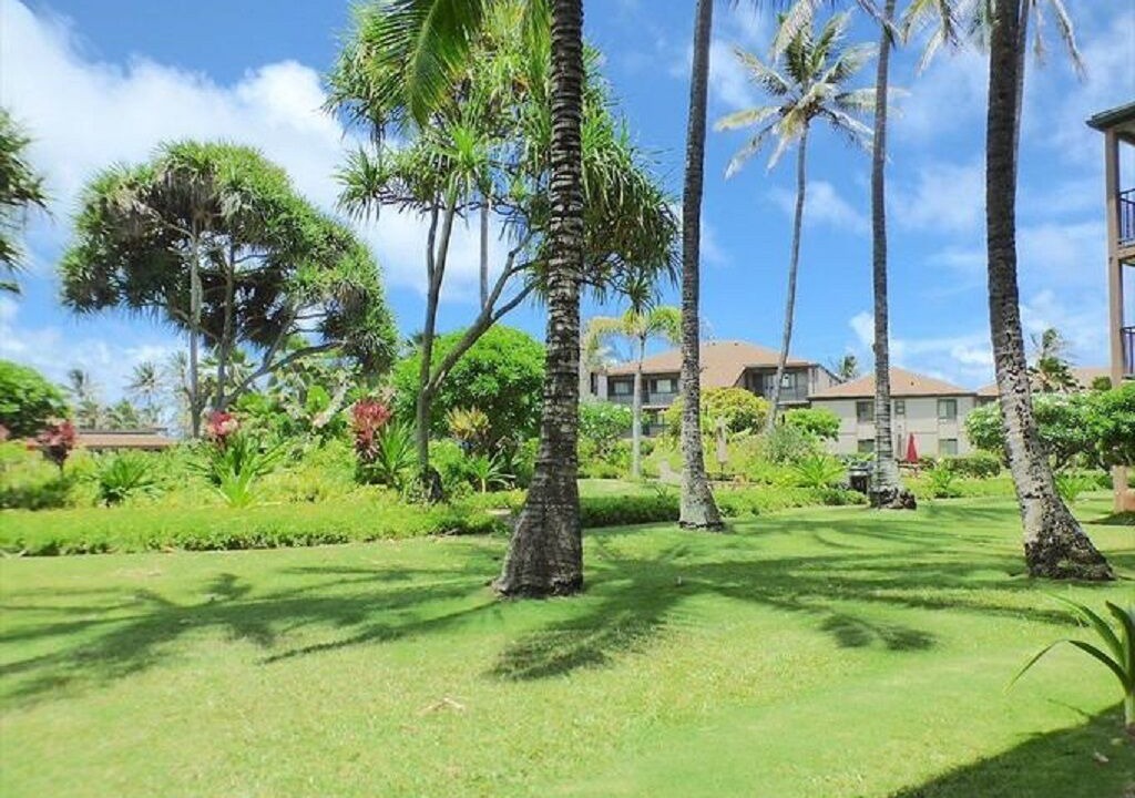 Photo of Others in Kapaa