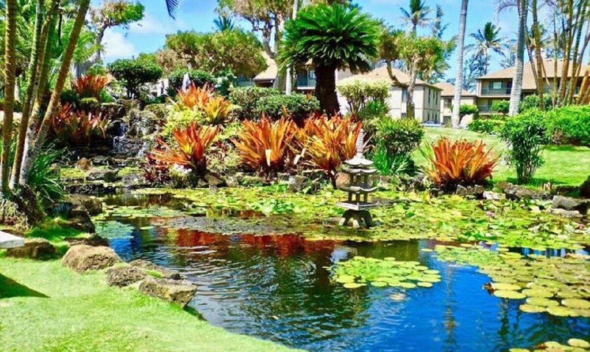 Photo of Outdoor in Kapaa